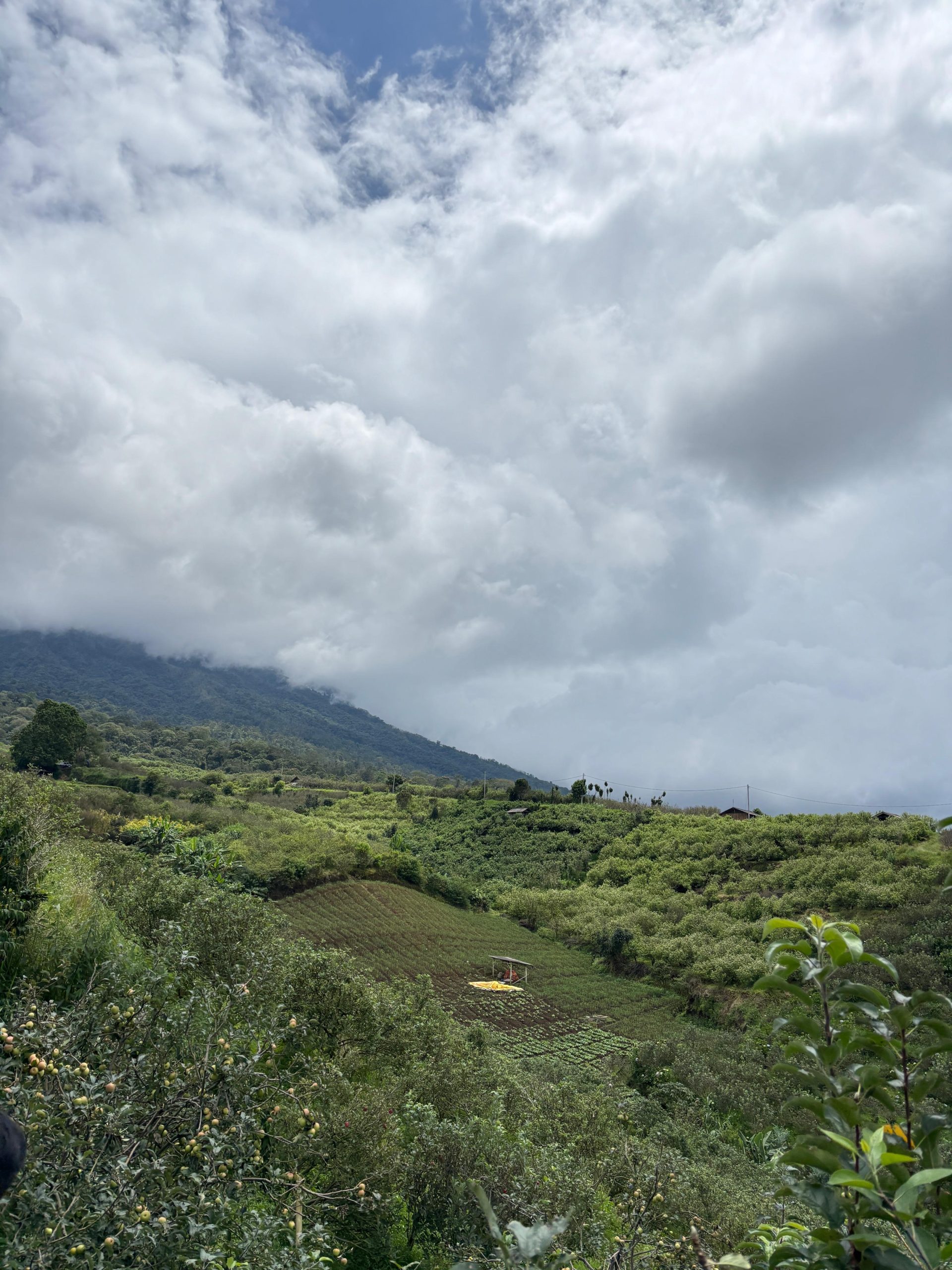 WhatsApp Image 2025-05-15 at 21.25.15_e5cd995e